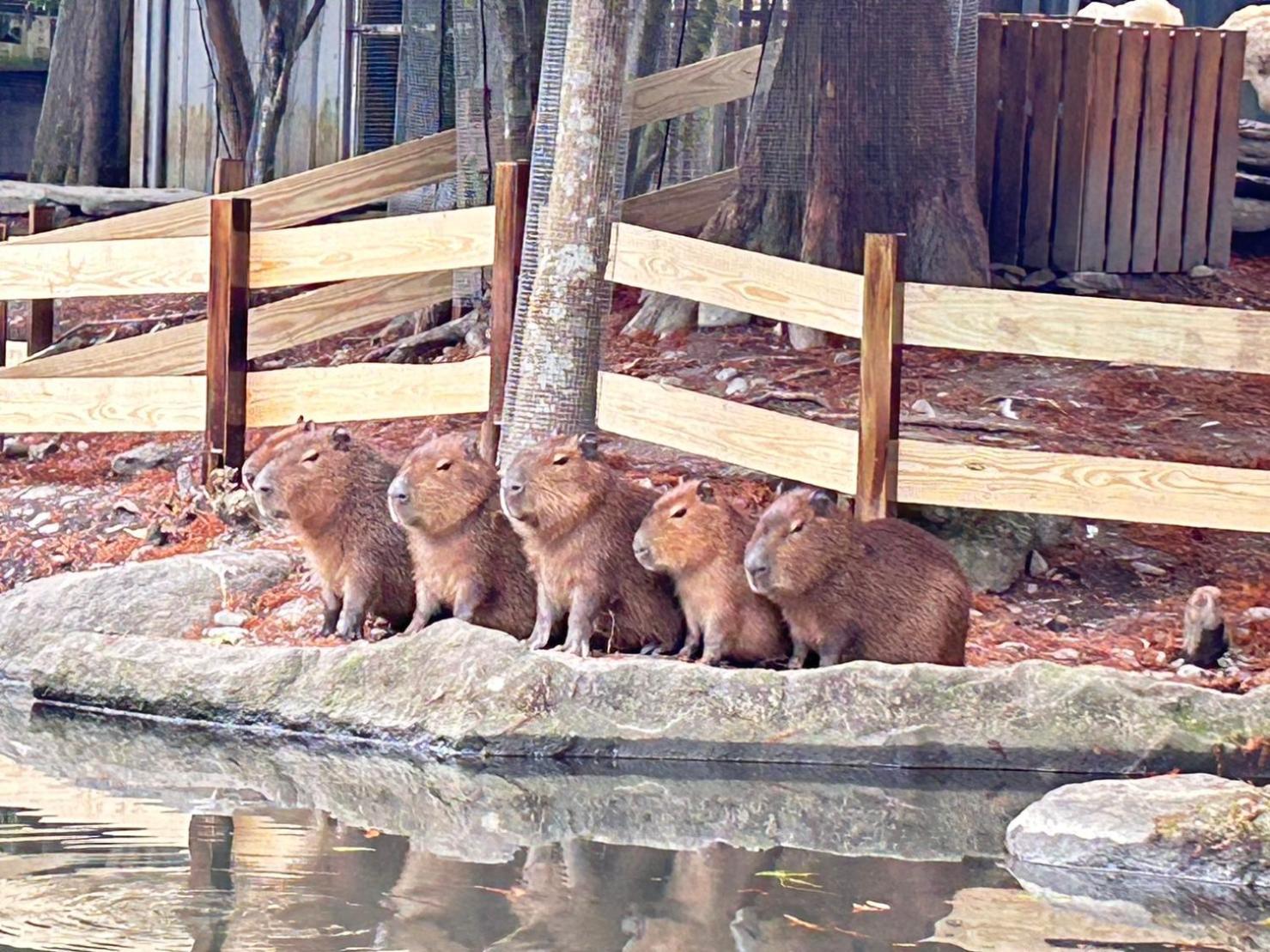 리버 포레스트 리조트 호텔 둥산 외부 사진