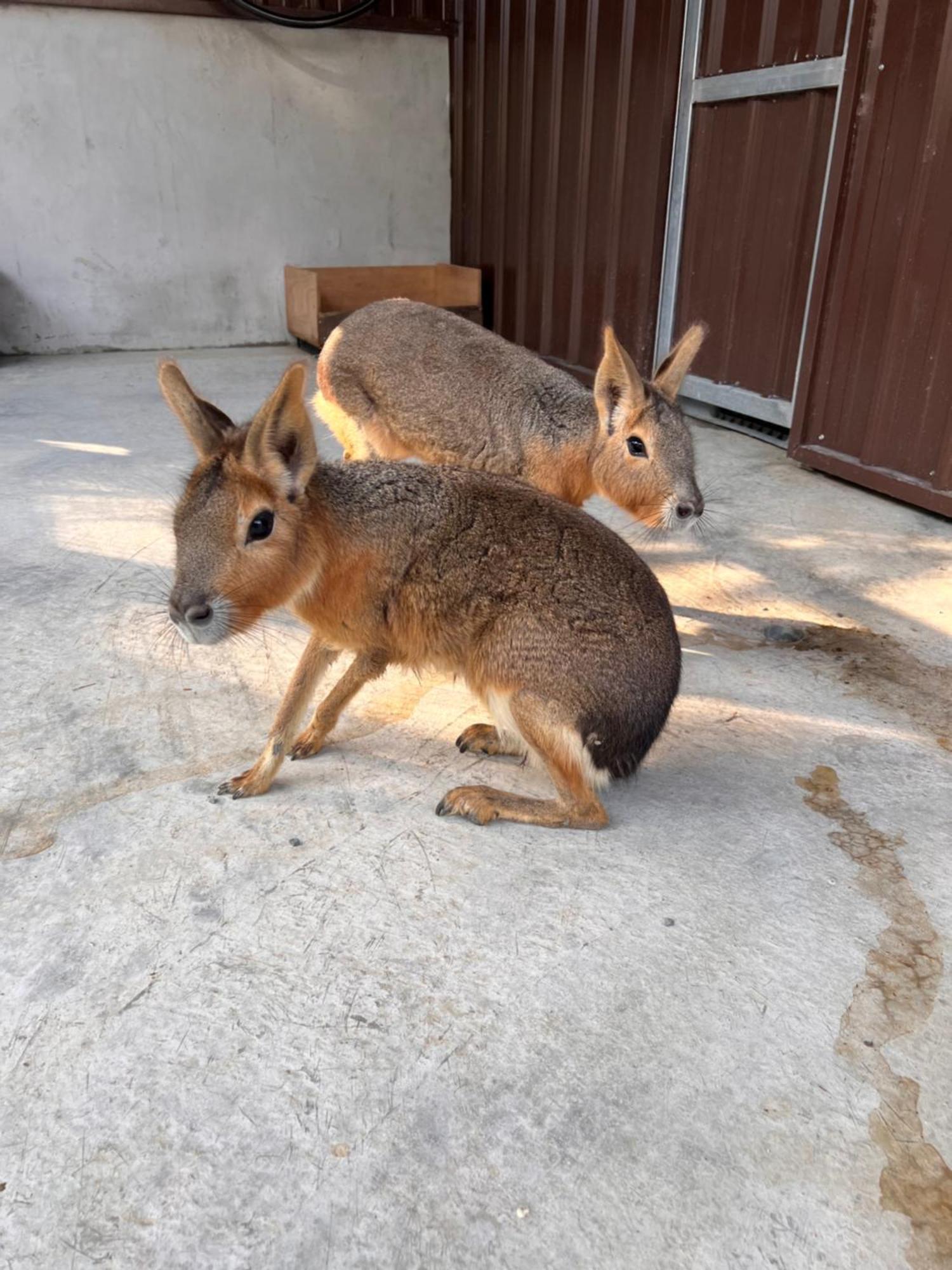 리버 포레스트 리조트 호텔 둥산 외부 사진